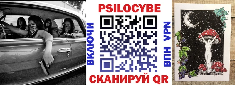 мега маркетплейс Салаир Псилоцибиновые грибы Psilocybine cubensis